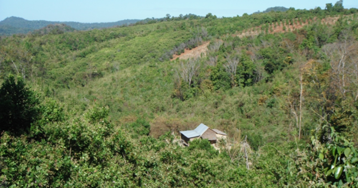 テイスト・オブ・オヤツ