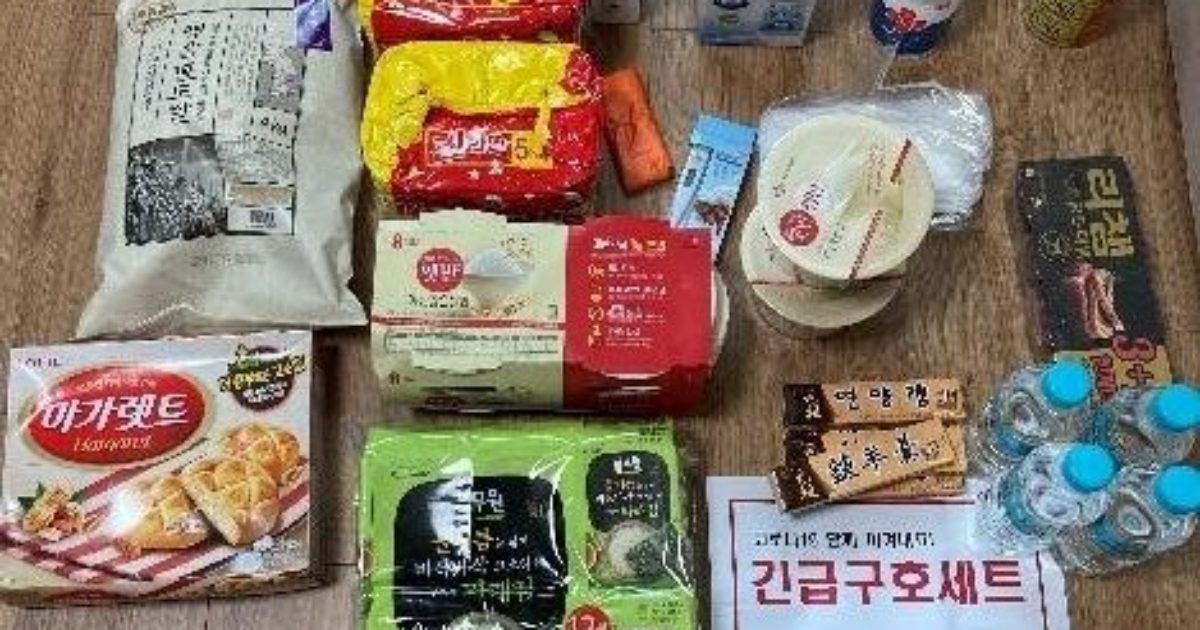 夏の日の2020年　-韓国へ戻ろう-