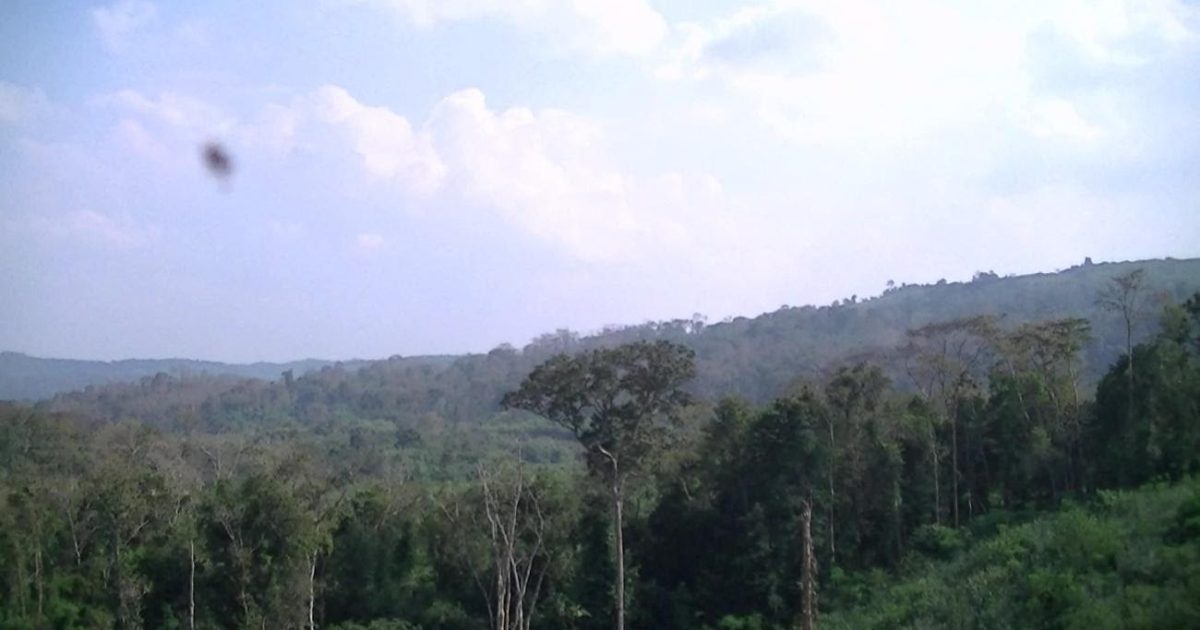 昆虫食にびびる